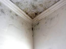 Mold Remediation for Rental Properties in Strasburg, OH