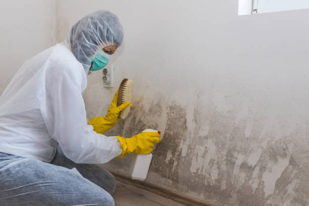 Forensic Mold Investigation in Strasburg, OH